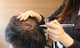 Slider image (7) MOAMAN Hair Transplant Aesthetic Restoration Clinic